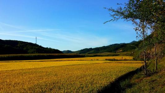 有时候一个人在旷野，就是一座空城