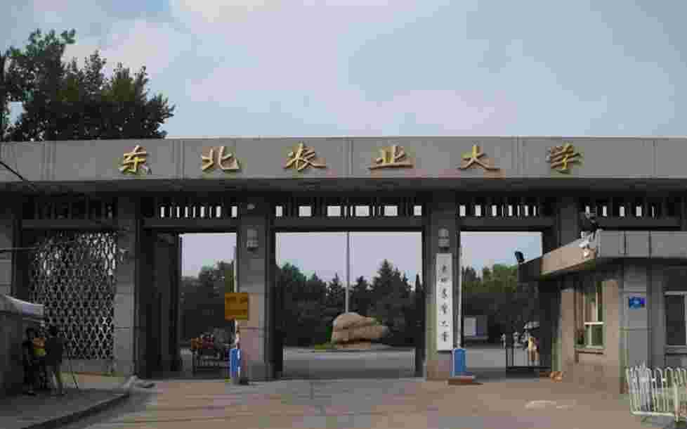 东北农业大学排名第几，全国农林类大学排名出炉