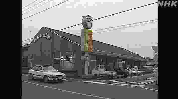 大妈日本诱拐女童的简单介绍