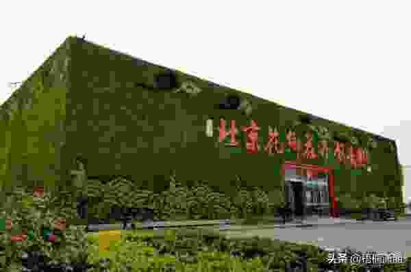 中国十大花卉基地,中国花卉之乡？