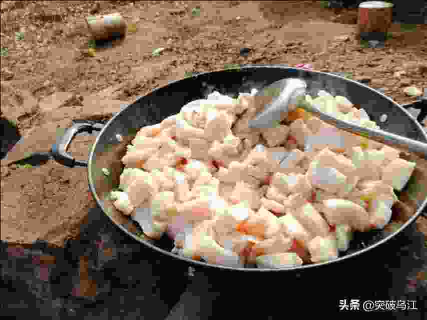 养猪网，马云预测未来五年养猪趋势