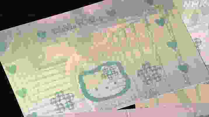 大妈日本诱拐女童的简单介绍