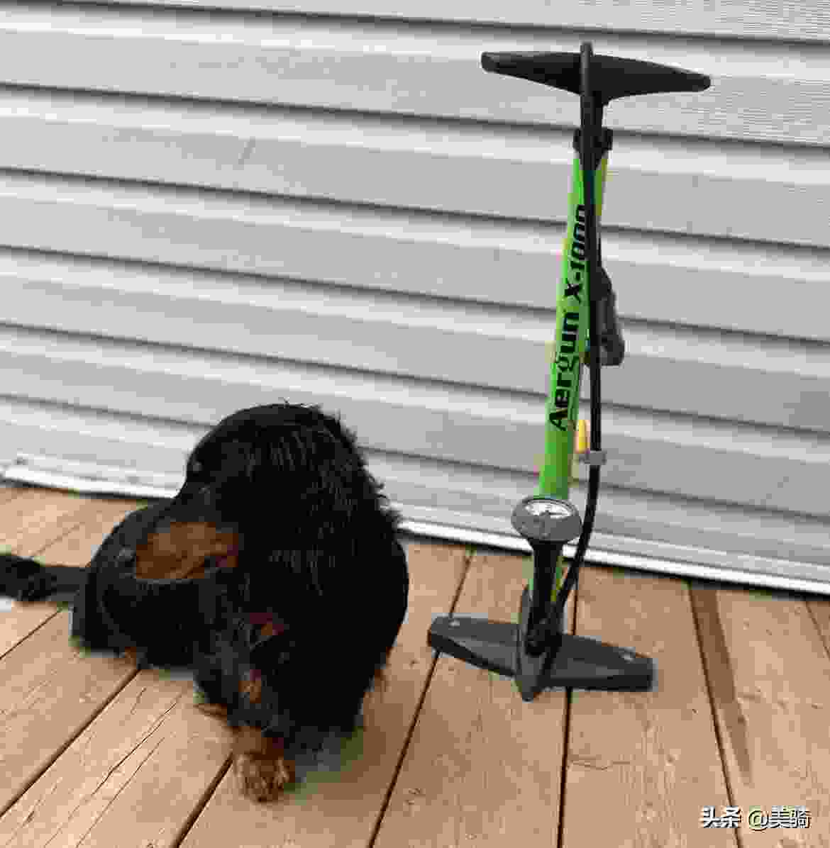 自行车打气筒种类,双向打气筒使用方法？