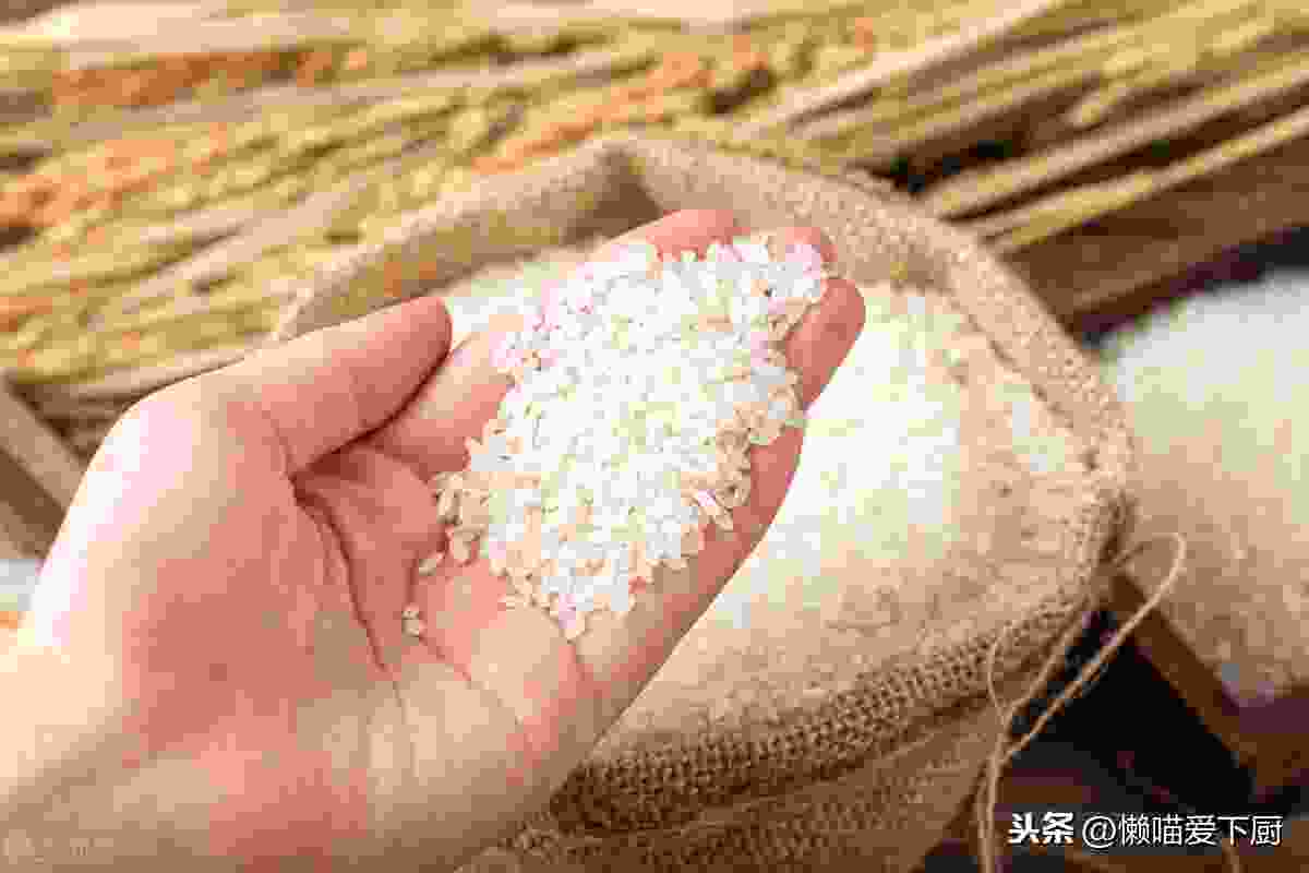 五常大米是粳米还是籼米（粳米好还是籼米好）