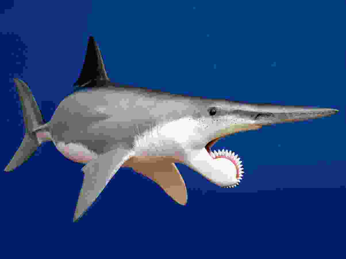 十大灭绝的可怕古生物名字（全球仅剩一只的动物）