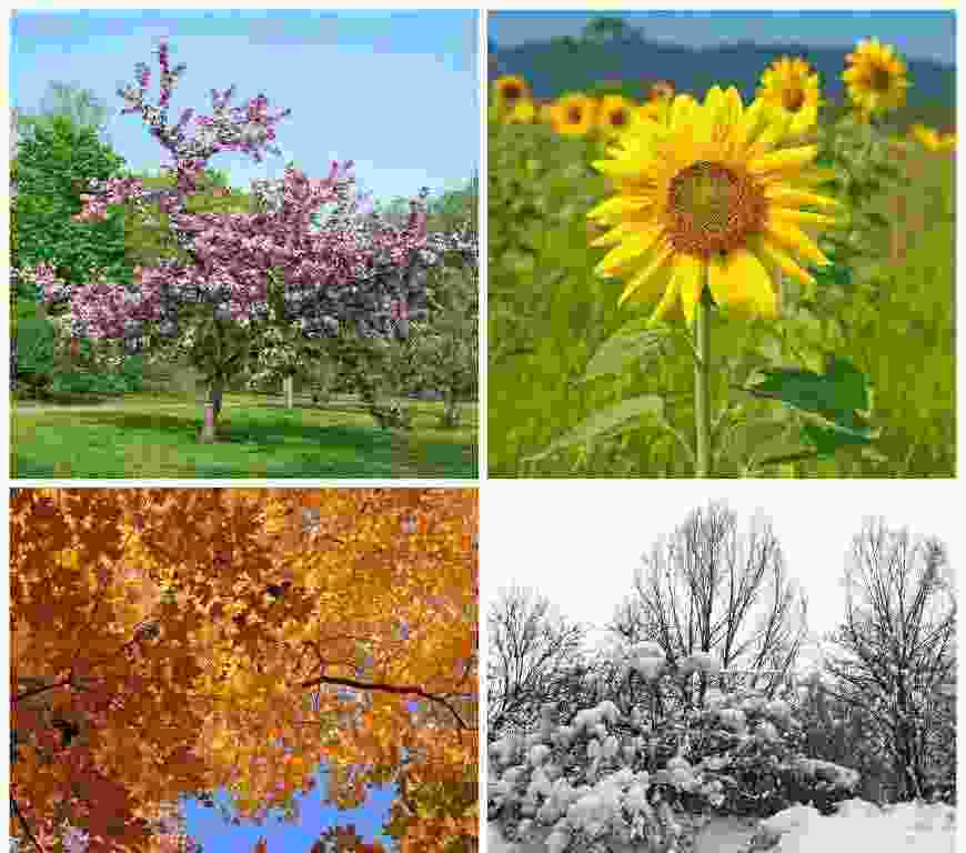 火影忍者手游晓觉醒天道超打法攻略(火影忍者ol手游天道)