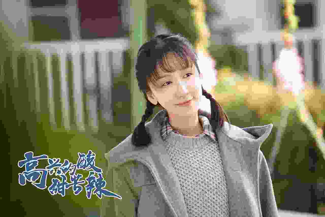 《高兴的酸甜苦辣》剧集质量怎么样