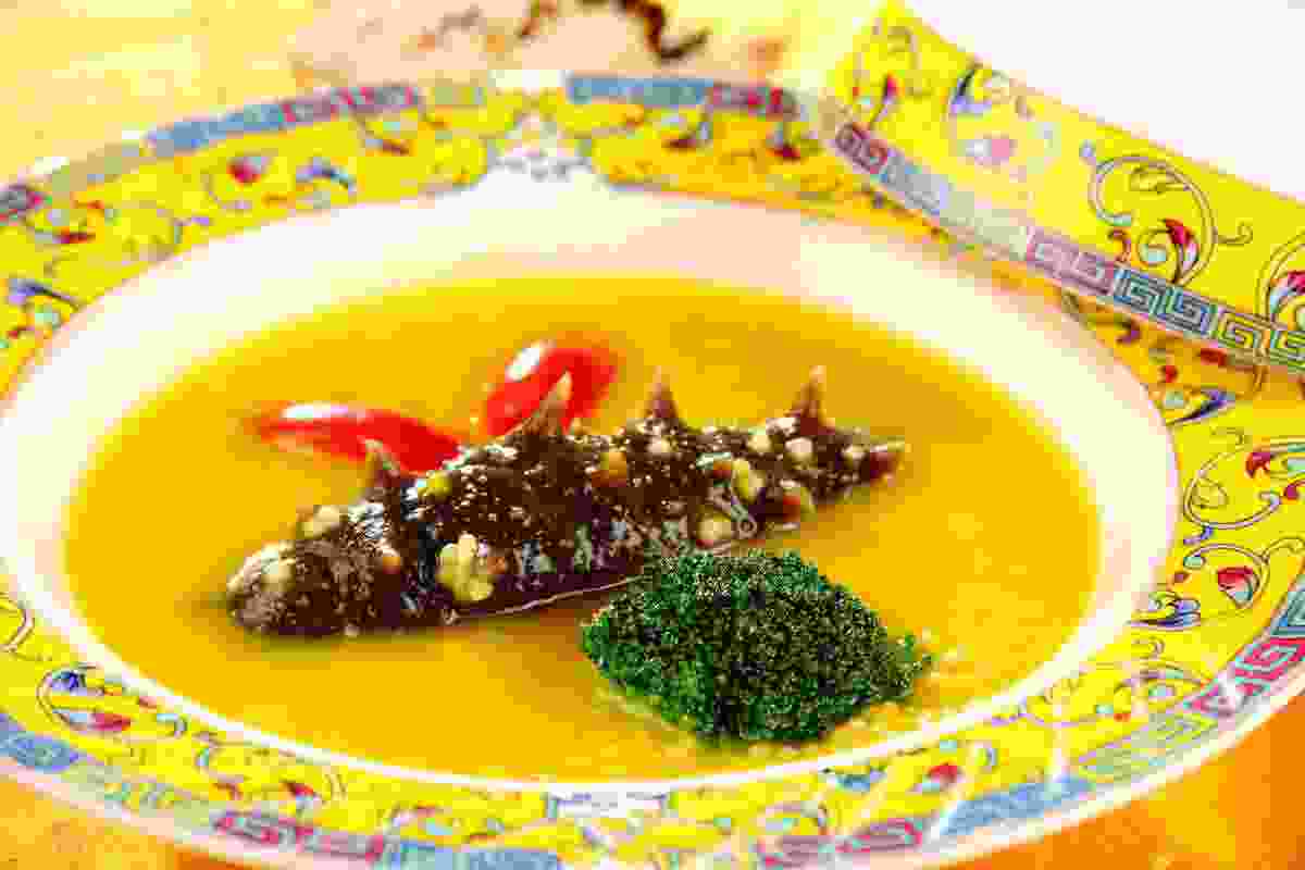 海参煮多久好(海参一次吃多少比较好)