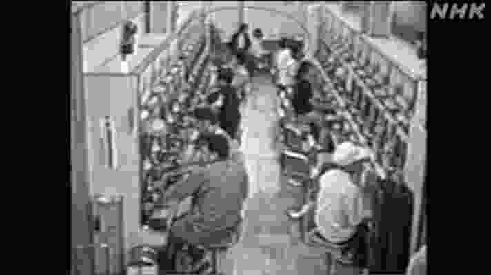 大妈日本诱拐女童的简单介绍