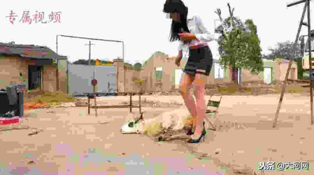 国山家园踩踏论坛