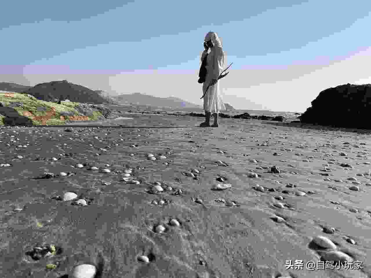 深圳赶海最好的地方,深圳哪里可以赶海？