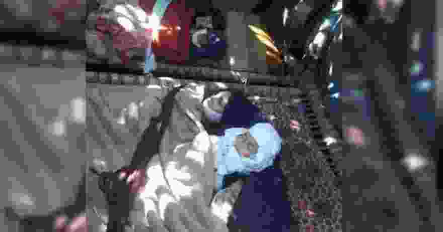 艾曼扎瓦赫里(艾曼扎瓦赫里最新消息)