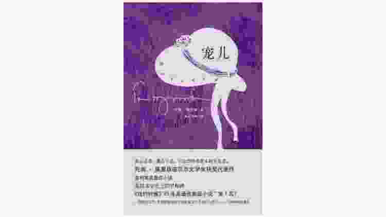 宠儿博客(小不丢博客)