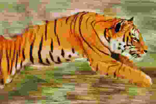 世界十大顶级国宝动物:考拉屈居第四,大熊猫夺得冠军 世界十大顶级国宝动物:考拉屈居第四,大熊猫夺得冠军