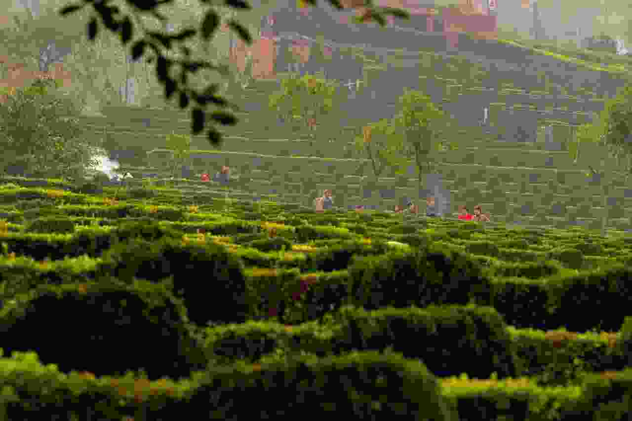 描写清明节的优美段落