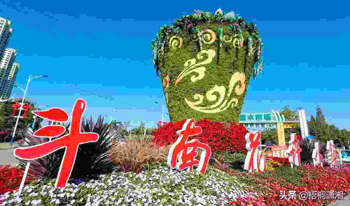 中国十大花卉基地,中国花卉之乡？