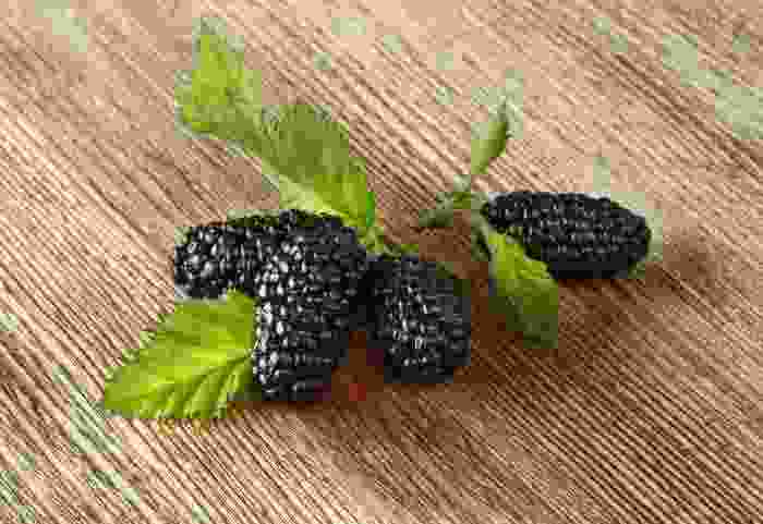 黑莓是什么水果 和树莓黑加仑的区别