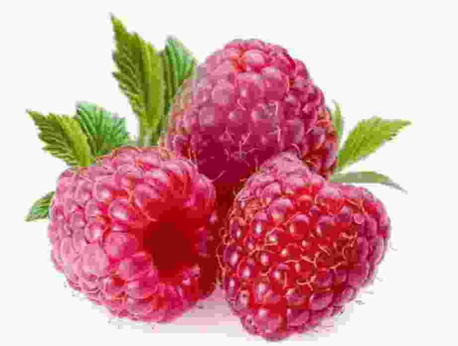 树莓是覆盆子吗 树莓是热性还是凉性