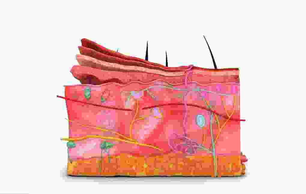 冬季皮肤瘙痒洗澡要注意什么事项 如何预防皮肤瘙痒