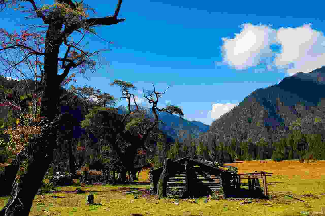 怎么申报个人所得税网上申报流程