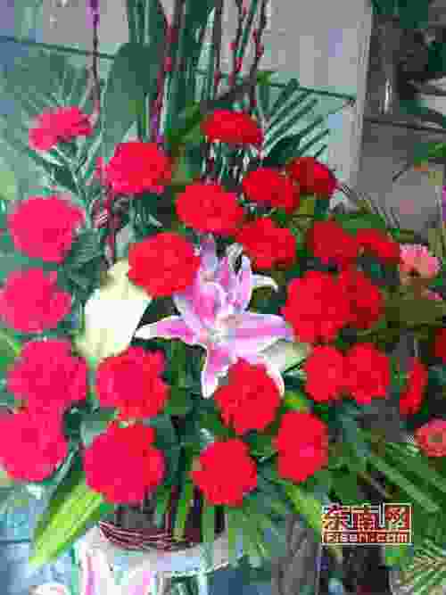 母亲节多久(每年母亲节是几月几号)