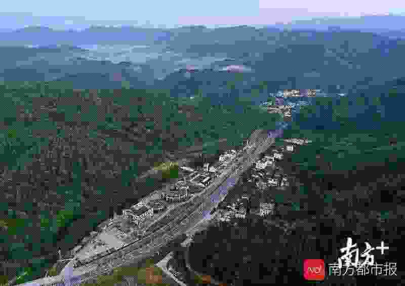 假树怎么做的_立管做假树