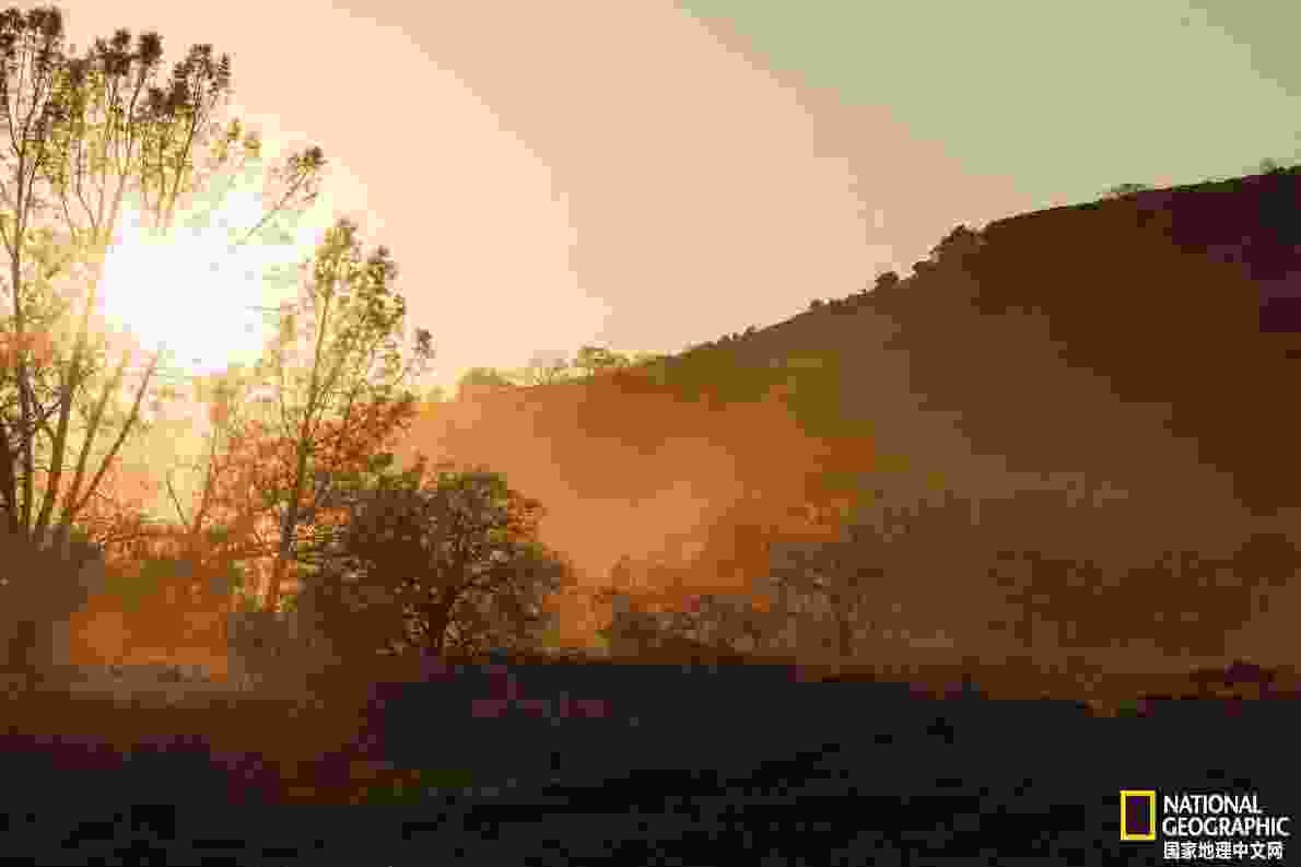 凌采加州天然(鍑岄噰鍔犲窞澶╃劧楦¤倝鐚伯)