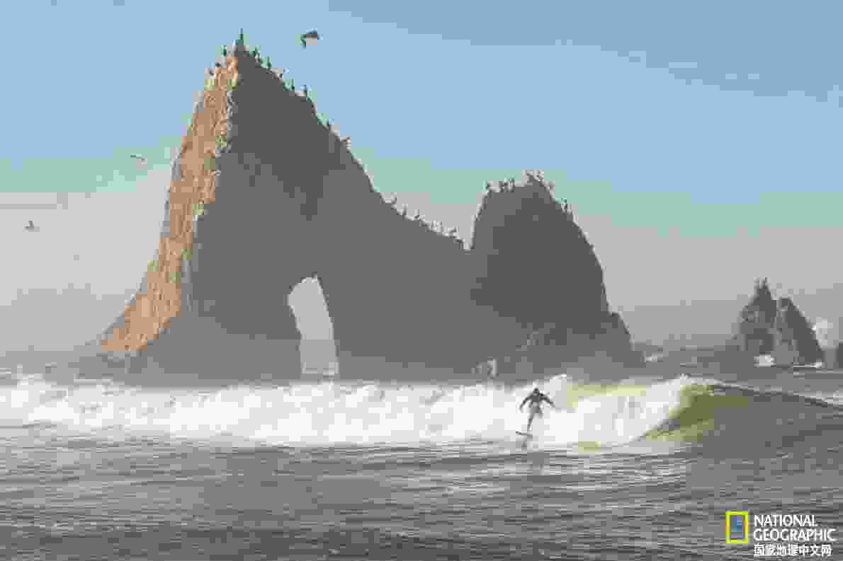 凌采加州天然(鍑岄噰鍔犲窞澶╃劧楦¤倝鐚伯)