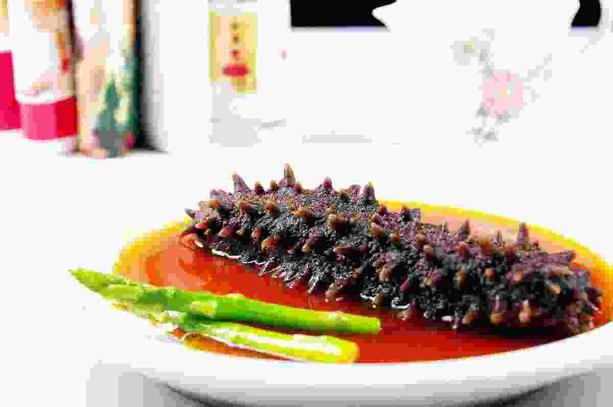 海参煮多久好(海参一次吃多少比较好) 海参煮多久好(海参一次吃多少比较好)