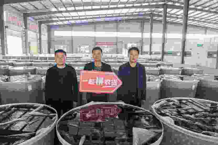 变蛋机器图片和价格，变蛋的利润