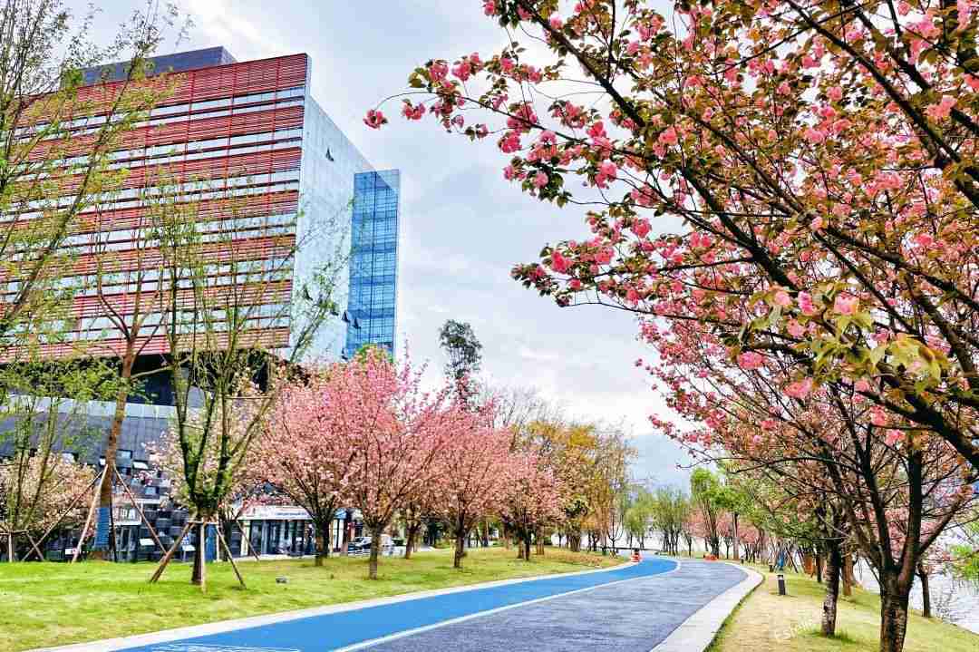 2022中国十大脏乱差的城市