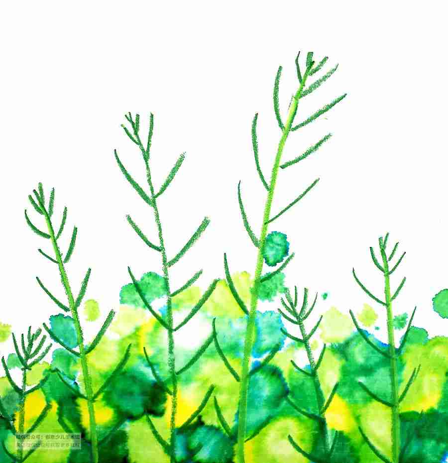 春天的风景简笔画怎么画 2022最新关于春天的风景简笔画儿童画图片教程 春天的风景简笔画怎么画 2022最新关于春天的风景简笔画儿童画图片教程