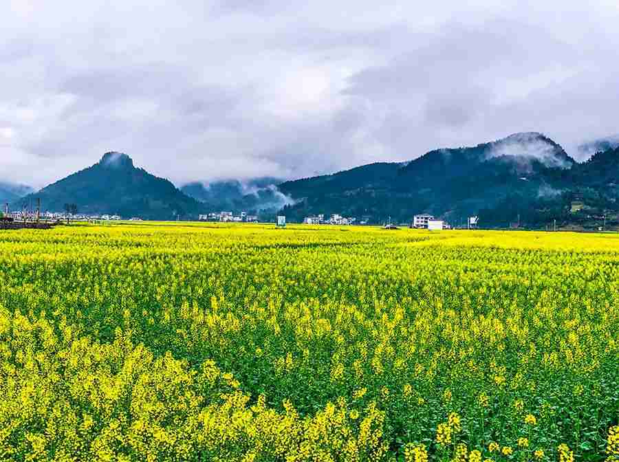 春天的风景简笔画怎么画 2022最新关于春天的风景简笔画儿童画图片教程 春天的风景简笔画怎么画 2022最新关于春天的风景简笔画儿童画图片教程