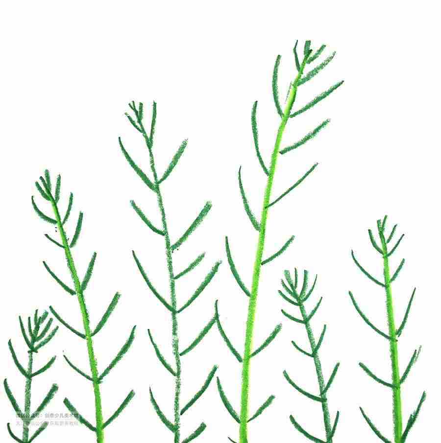 春天的风景简笔画怎么画 2022最新关于春天的风景简笔画儿童画图片教程 春天的风景简笔画怎么画 2022最新关于春天的风景简笔画儿童画图片教程