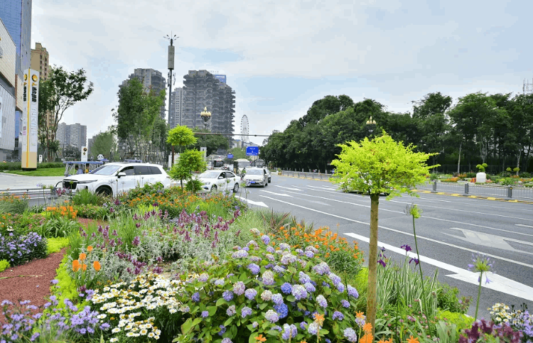 2022中国十大脏乱差的城市