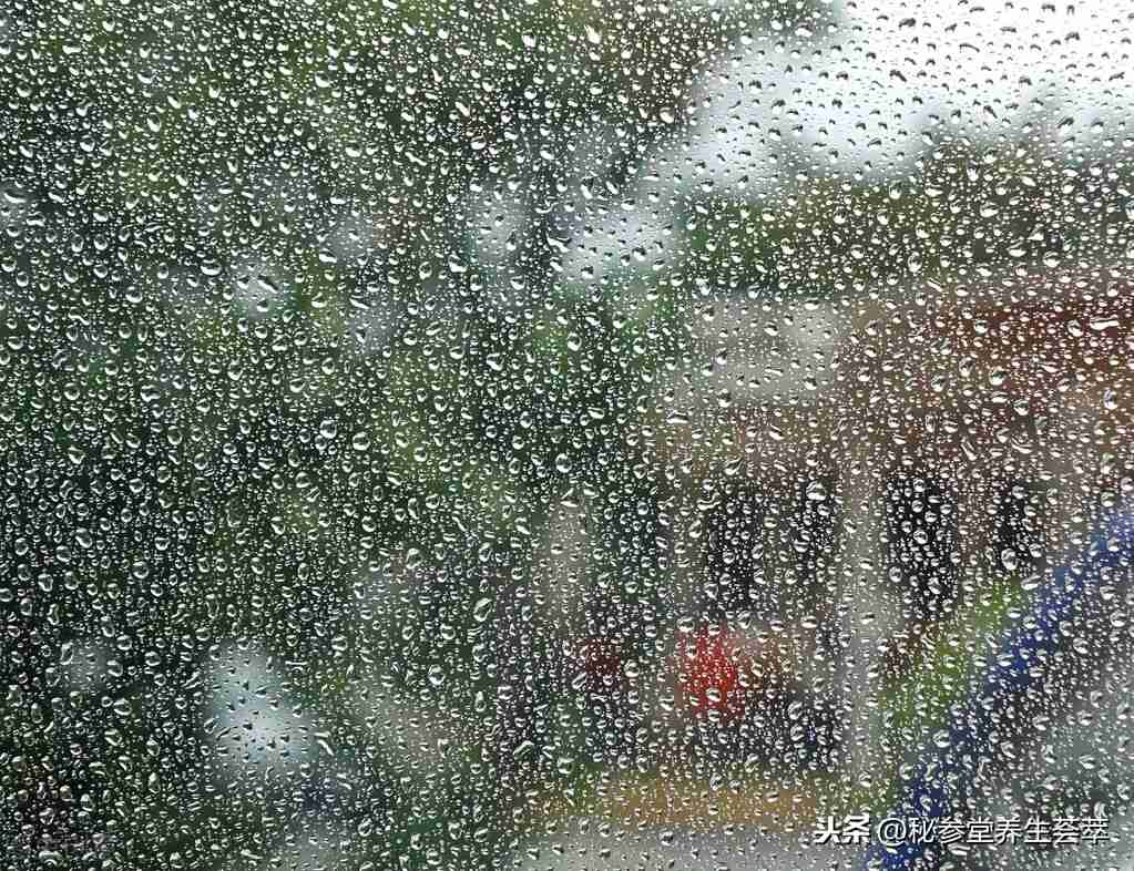 艾叶泡脚后寒气排出的表现(泡脚后湿气排出的表现) 艾叶泡脚后寒气排出的表现(泡脚后湿气排出的表现)