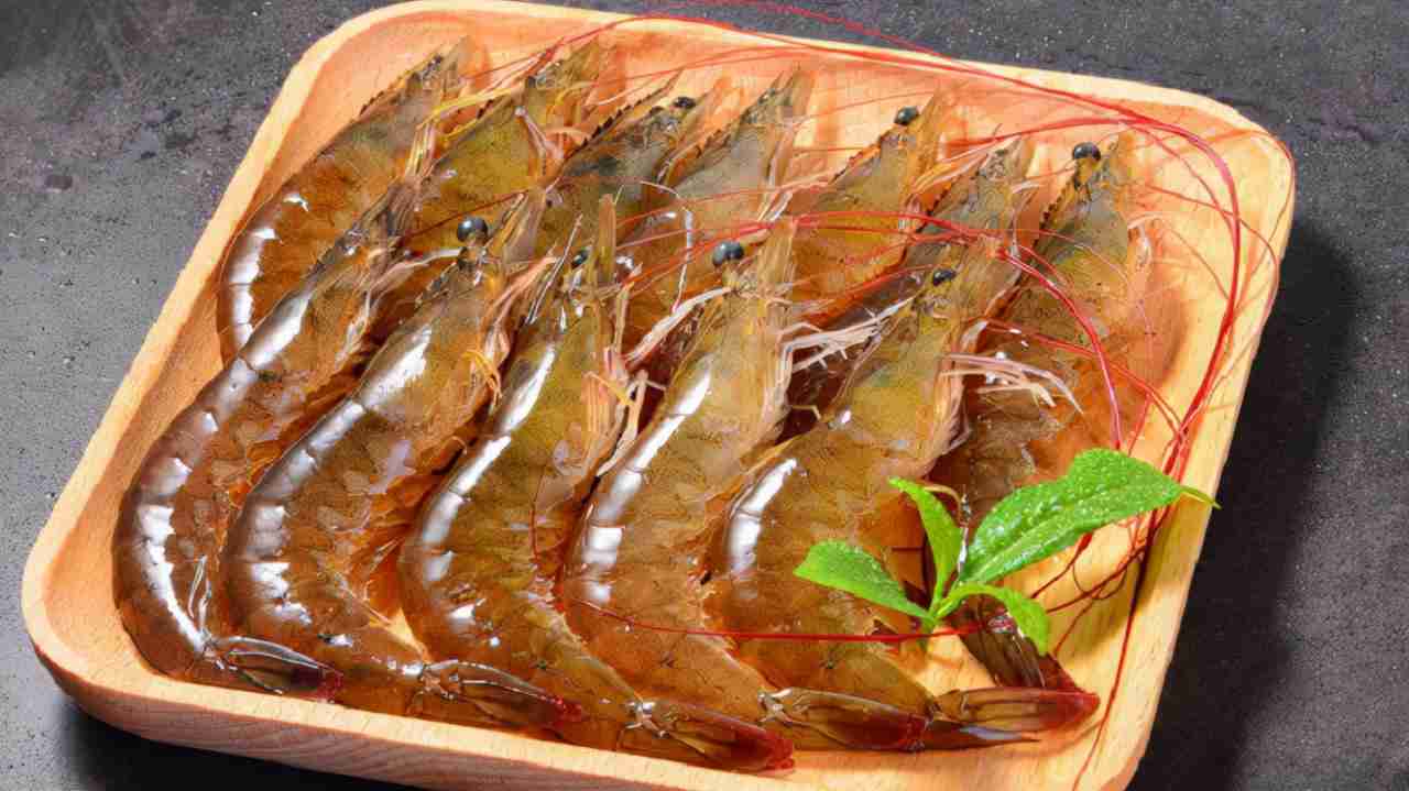 虾仁最好吃的5种做法(虾仁的18种做法) 虾仁最好吃的5种做法(虾仁的18种做法)