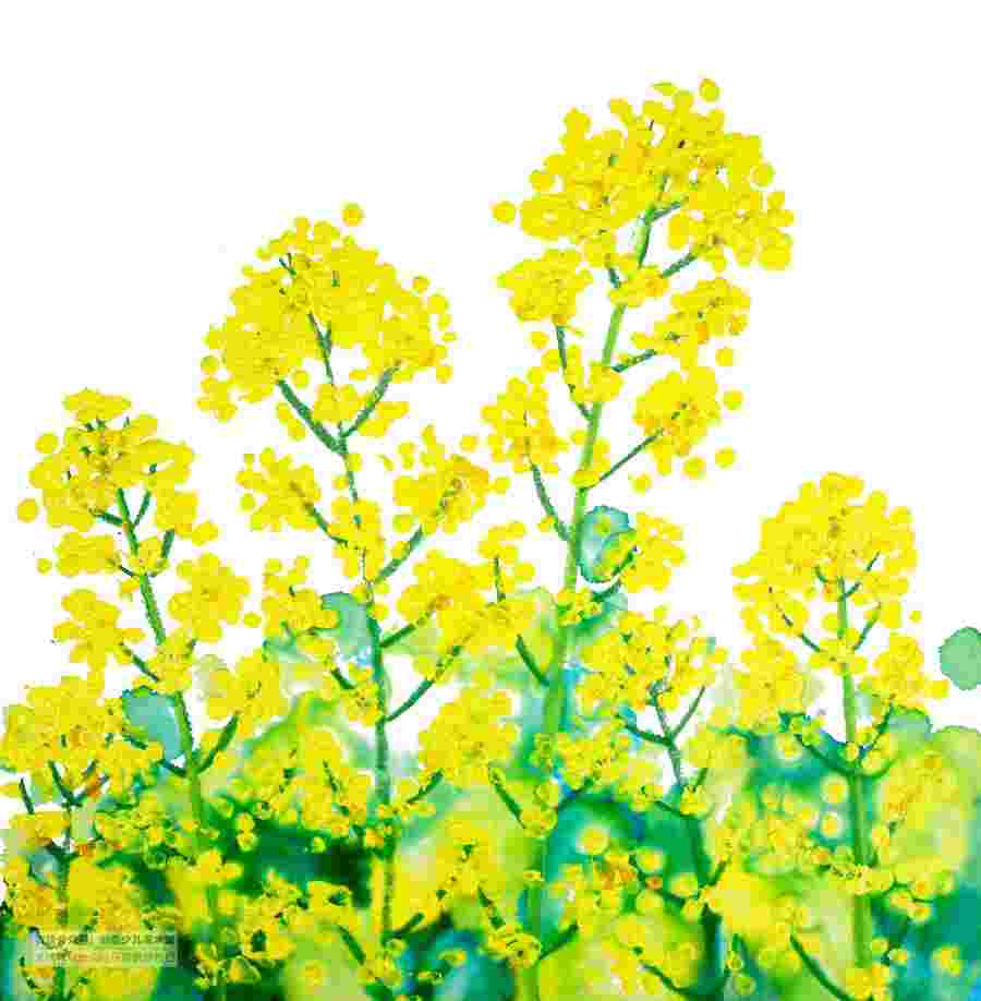 春天的风景简笔画怎么画 2022最新关于春天的风景简笔画儿童画图片教程 春天的风景简笔画怎么画 2022最新关于春天的风景简笔画儿童画图片教程