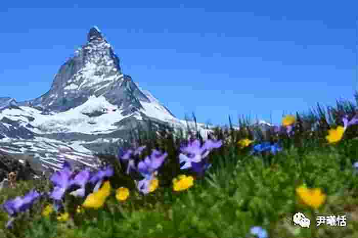 重疾险交几年退保可以退回保费 怎么退保 重疾险交几年退保可以退回保费 怎么退保