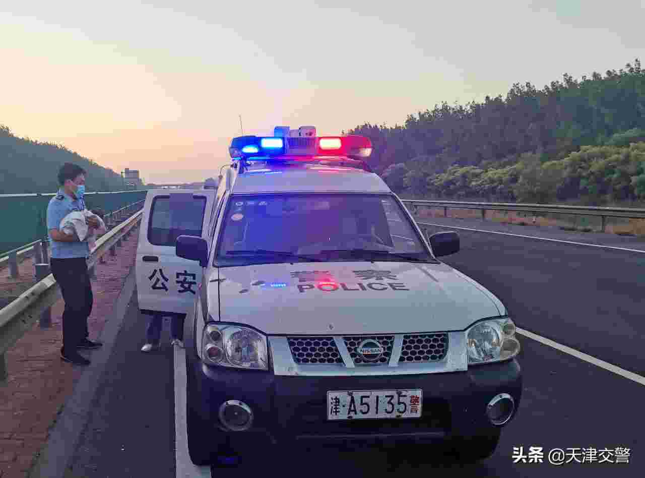 滨保高速车祸(滨保高速车祸神秘)