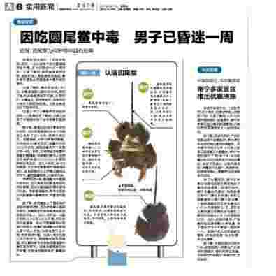 圆尾鲎是什么东西(圆尾鲎会引起食物中毒吗(有剧毒)