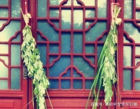 挂菖蒲艾叶的寓意(端午节家家户户挂艾草、菖、蒜头,是什么意思)