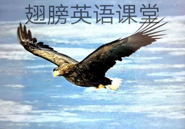 make是什么意思中文(made和make是什么意思) make是什么意思中文(made和make是什么意思)
