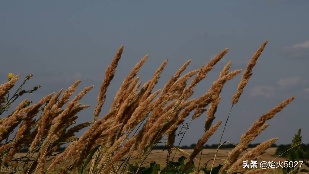 有趣的自然现象5个例子(生活中有哪些奇特而又有趣的自然现象)