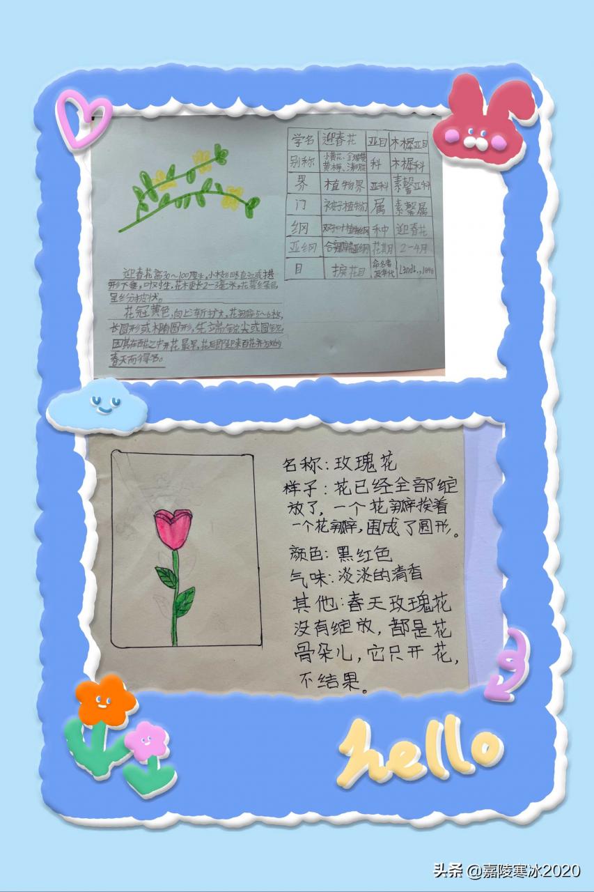 植物记录卡怎么做,植物记录卡范本 植物记录卡怎么做,植物记录卡范本