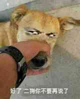 网址你懂的(兄弟给个能看的网站) 网址你懂的(兄弟给个能看的网站)