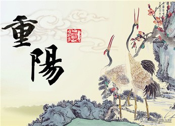 重阳节有哪些古诗(重阳节有20首古诗)