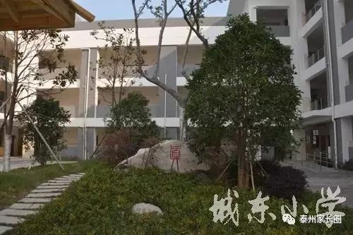 泰州市公立小学排名榜(泰州市城南小学上榜第一省一级实验小学)