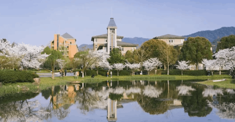 理工大学排名(理工大学排名全国)