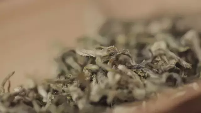 碧螺春产于哪里(为什么说只有苏州洞庭碧螺春才是最正宗的碧螺春)